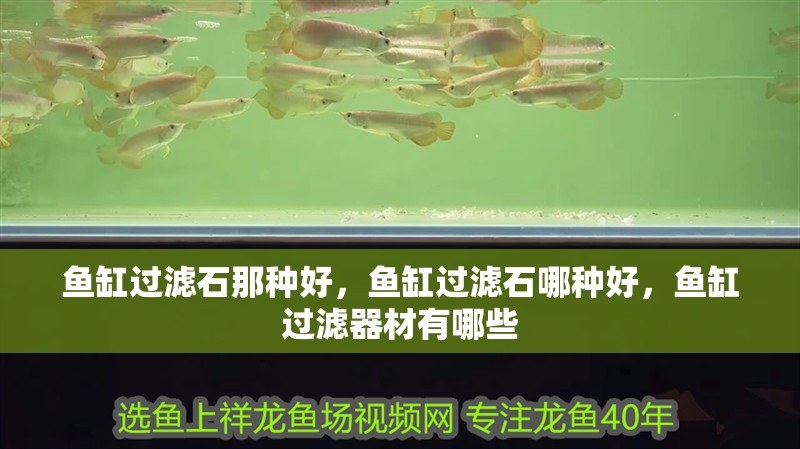 魚缸過濾石那種好，魚缸過濾石哪種好，魚缸過濾器材有哪些