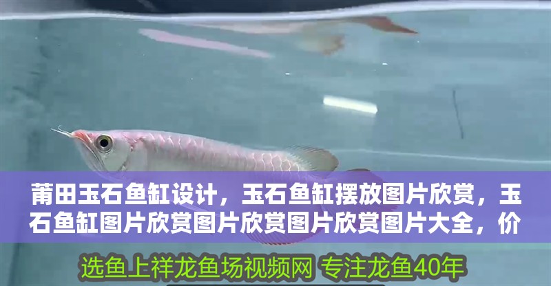 莆田玉石魚缸設計，玉石魚缸擺放圖片欣賞，玉石魚缸圖片欣賞圖片欣賞圖片欣賞圖片大全，價值無法估值