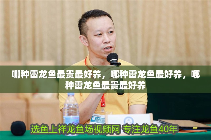 哪種雷龍魚最貴最好養，哪種雷龍魚最好養，哪種雷龍魚最貴最好養