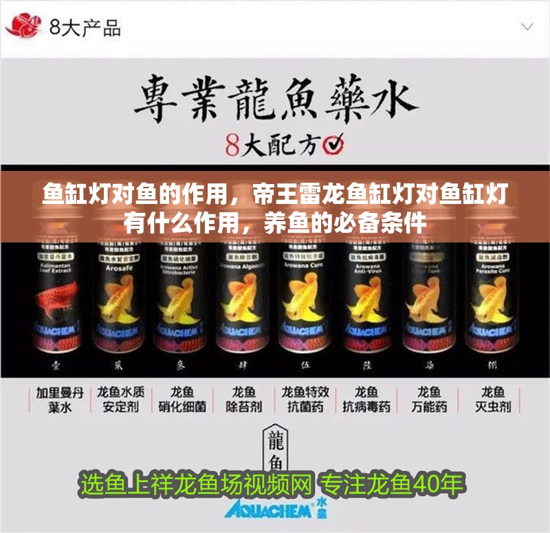 魚缸燈對魚的作用，帝王雷龍魚缸燈對魚缸燈有什么作用，養魚的必備條件