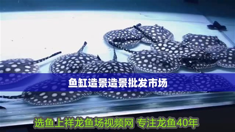魚缸造景造景批發(fā)市場