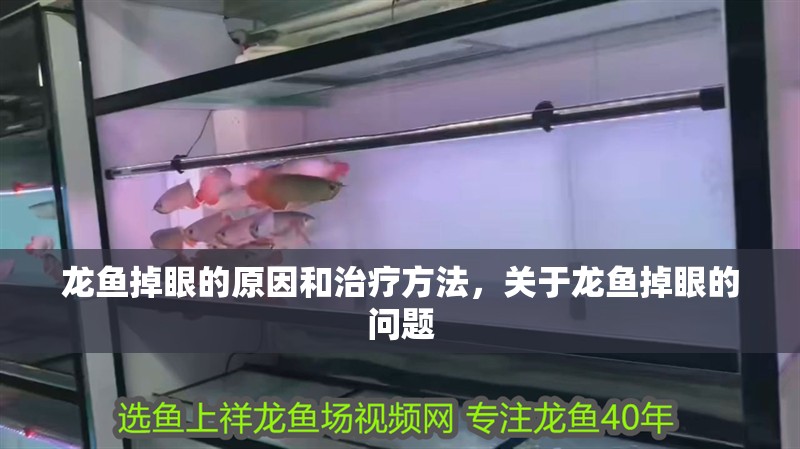 龍魚掉眼的原因和治療方法，關于龍魚掉眼的問題 龍魚掉眼的原因和治療方法，關于龍魚掉眼的問題 觀賞魚百科 第2張