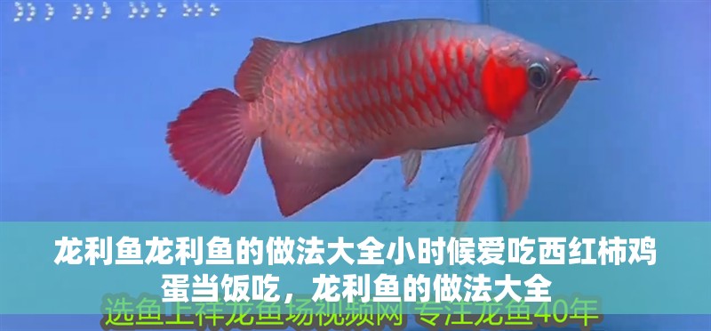 龍利魚龍利魚的做法大全小時候愛吃西紅柿雞蛋當飯吃，龍利魚的做法大全