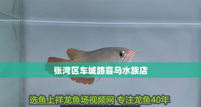 張灣區(qū)車城路喜馬水族店