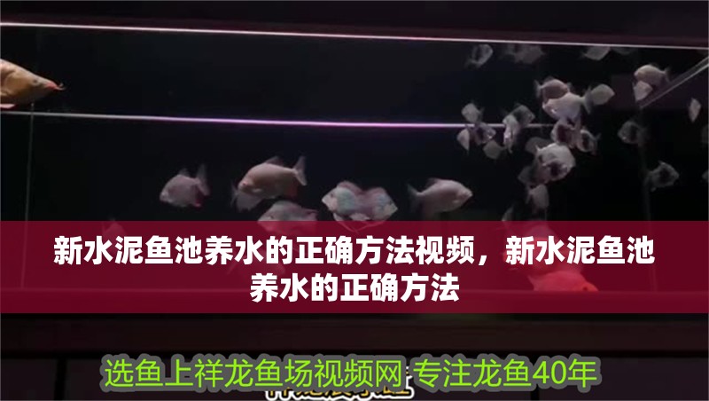 新水泥魚池養水的正確方法視頻，新水泥魚池養水的正確方法