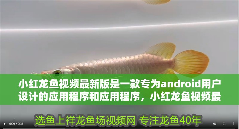 小紅龍魚視頻最新版是一款專為android用戶設計的應用程序和應用程序，小紅龍魚視頻最新版