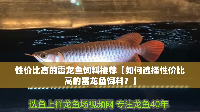 性價比高的雷龍魚飼料推薦【如何選擇性價比高的雷龍魚飼料？】 性價比高的雷龍魚飼料推薦【如何選擇性價比高的雷龍魚飼料？】 觀賞魚百科 第2張