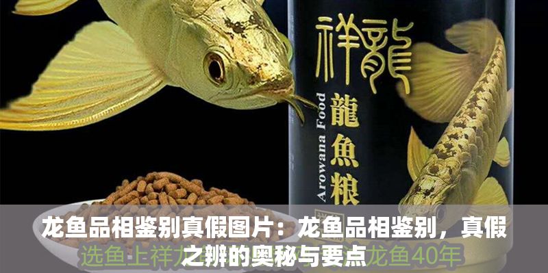 龍魚品相鑒別真假圖片：龍魚品相鑒別，真假之辨的奧秘與要點