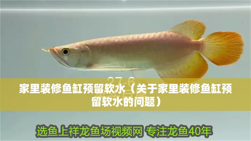 家里裝修魚缸預留軟水（關于家里裝修魚缸預留軟水的問題）