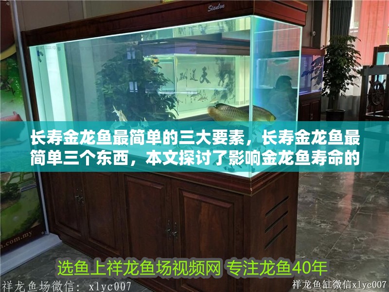 長壽金龍魚最簡單的三大要素，長壽金龍魚最簡單三個東西，本文探討了影響金龍魚壽命的三大關鍵因素