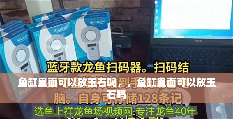 魚缸里面可以放玉石嗎，，魚缸里面可以放玉石嗎