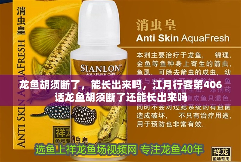 龍魚胡須斷了，能長出來嗎，江月行客第406話龍魚胡須斷了還能長出來嗎