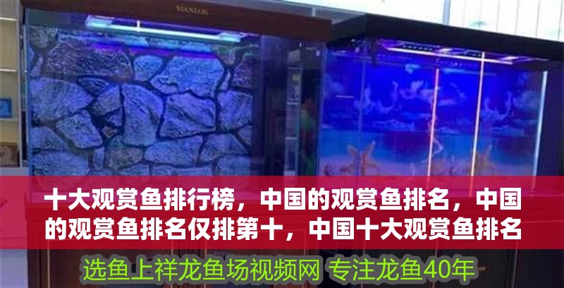 十大觀賞魚排行榜，中國的觀賞魚排名，中國的觀賞魚排名僅排第十，中國十大觀賞魚排名，中國的觀賞魚排名，