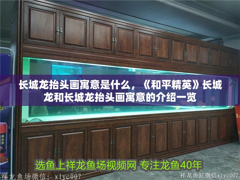 長城龍抬頭畫寓意是什么，《和平精英》長城龍和長城龍抬頭畫寓意的介紹一覽