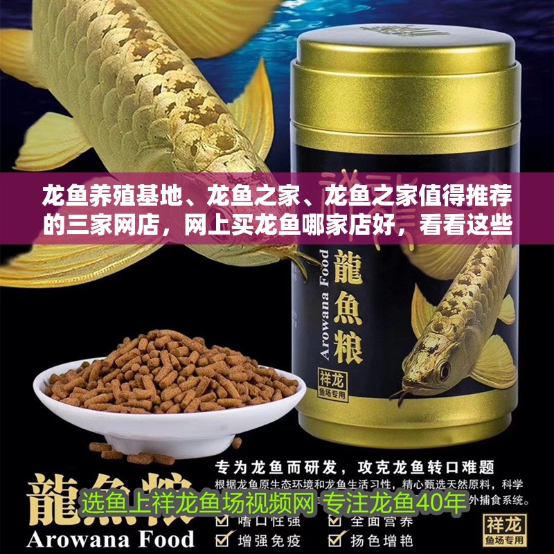 龍魚養殖基地、龍魚之家、龍魚之家值得推薦的三家網店，網上買龍魚哪家店好，看看這些關鍵詞 龍魚養殖基地、龍魚之家、龍魚之家值得推薦的三家網店，網上買龍魚哪家店好，看看這些關鍵詞 觀賞魚百科 第3張