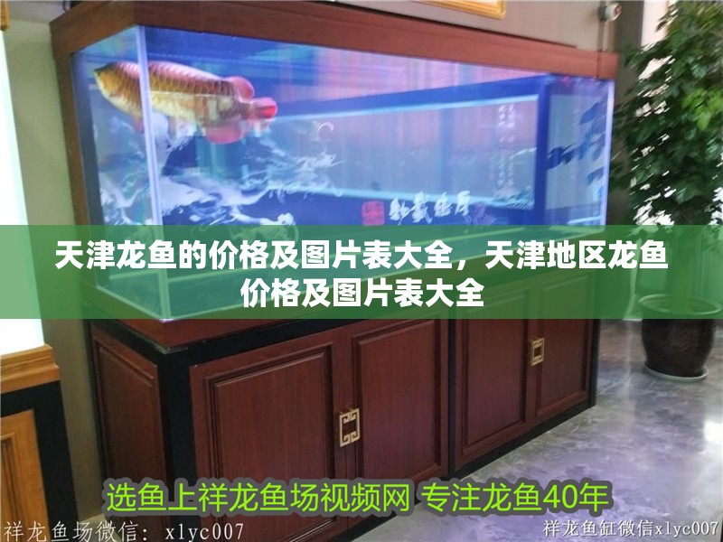 <strong><mark>天津</mark></strong>龍魚的價(jià)格及圖片表大全，<strong><mark>天津</mark></strong>地區(qū)龍魚價(jià)格及圖片表大全