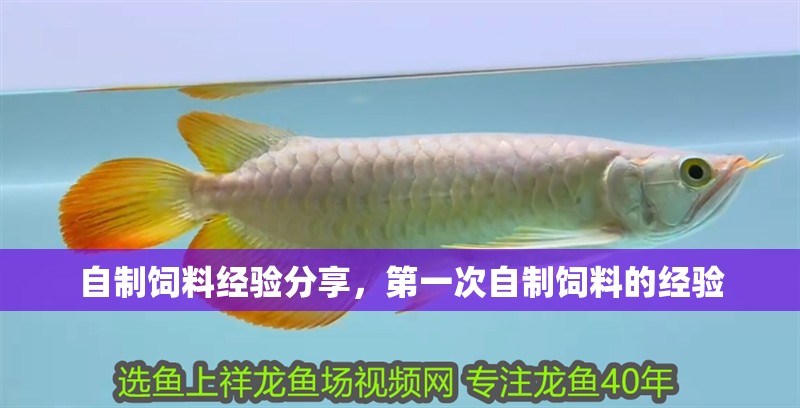 自制飼料經驗分享，第一次自制飼料的經驗