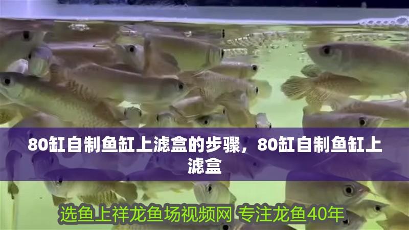 80缸自制魚缸上濾盒的步驟，80缸自制魚缸上濾盒