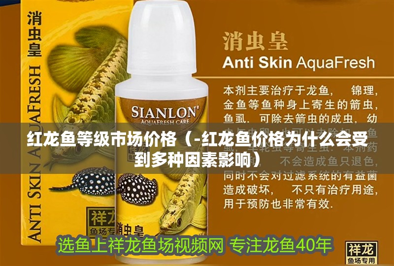 紅龍魚等級市場價格（-紅龍魚價格為什么會受到多種因素影響）