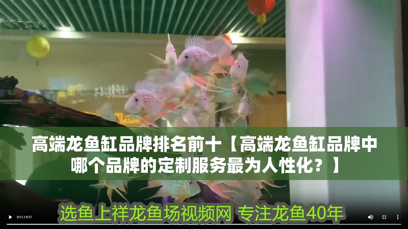 高端龍魚缸品牌排名前十【高端龍魚缸品牌中哪個品牌的定制服務最為人性化？】