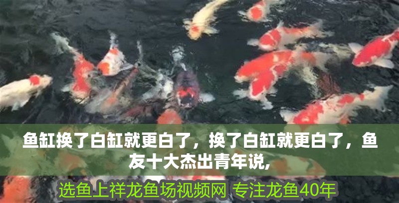 魚缸換了白缸就更白了，換了白缸就更白了，魚友十大杰出青年說,