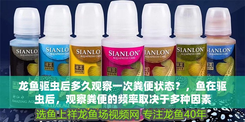 龍魚驅蟲后多久觀察一次糞便狀態？，魚在驅蟲后，觀察糞便的頻率取決于多種因素
