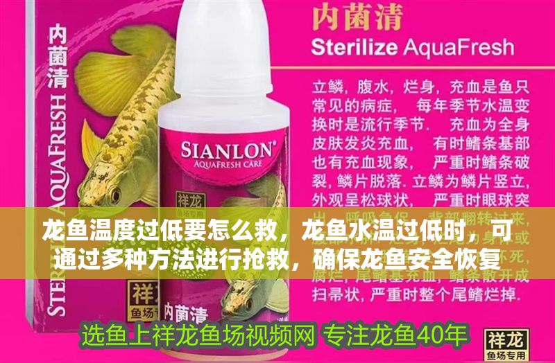 龍魚(yú)溫度過(guò)低要怎么救，龍魚(yú)水溫過(guò)低時(shí)，可通過(guò)多種方法進(jìn)行搶救，確保龍魚(yú)安全恢復(fù) 龍魚(yú)溫度過(guò)低要怎么救，龍魚(yú)水溫過(guò)低時(shí)，可通過(guò)多種方法進(jìn)行搶救，確保龍魚(yú)安全恢復(fù) 龍魚(yú)百科 第2張