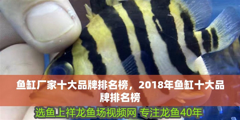 魚缸廠家十大品牌排名榜，2018年魚缸十大品牌排名榜