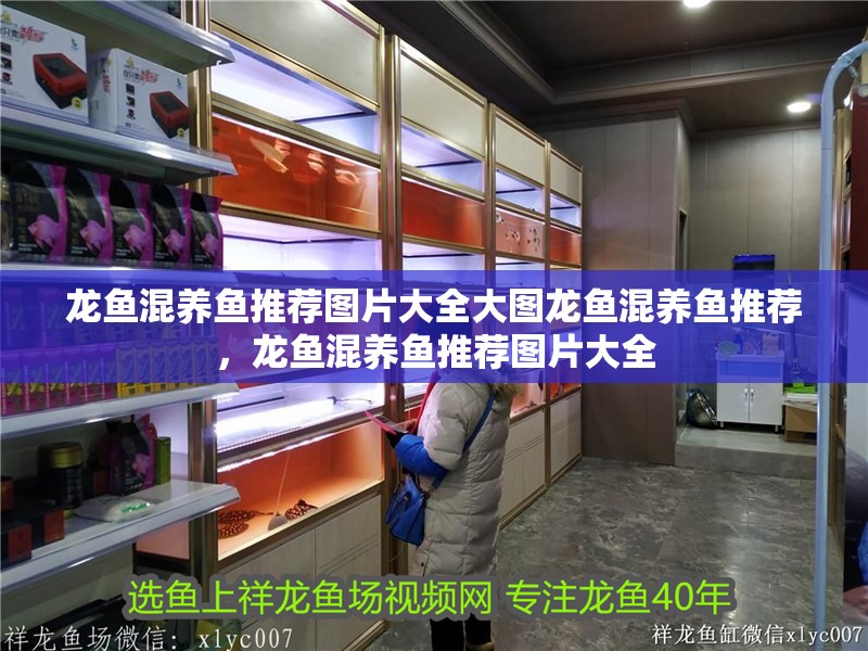 龍魚混養魚推薦圖片大全大圖龍魚混養魚推薦，龍魚混養魚推薦圖片大全