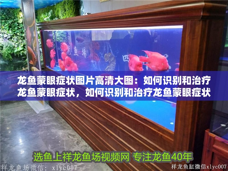 龍魚蒙眼癥狀圖片高清大圖：如何識別和治療龍魚蒙眼癥狀，如何識別和治療龍魚蒙眼癥狀？