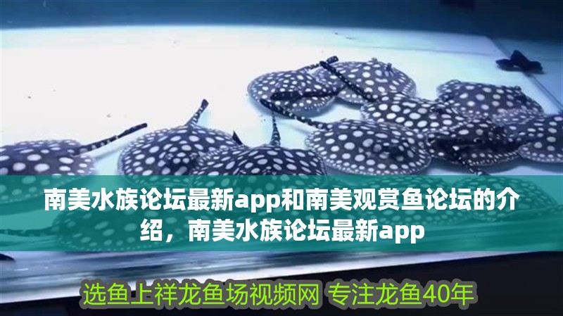 南美水族論壇最新app和南美觀賞魚論壇的介紹，南美水族論壇最新app