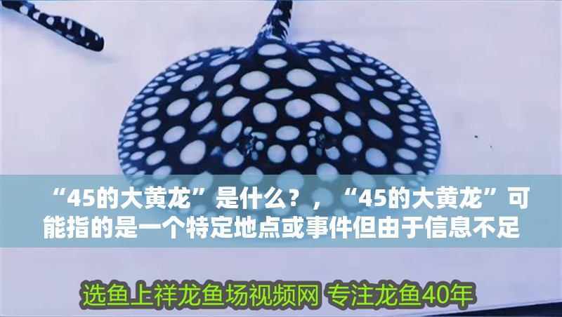 “45的大黃龍”是什么？，“45的大黃龍”可能指的是一個特定地點或事件但由于信息不足