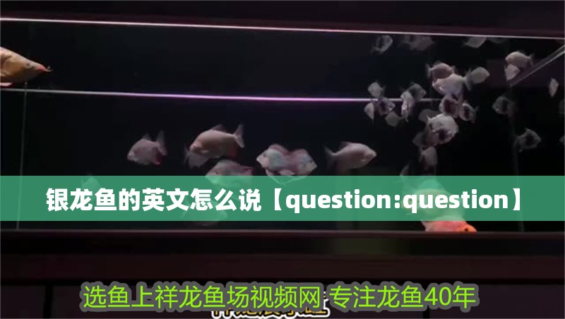 銀龍魚的英文怎么說【question:question】