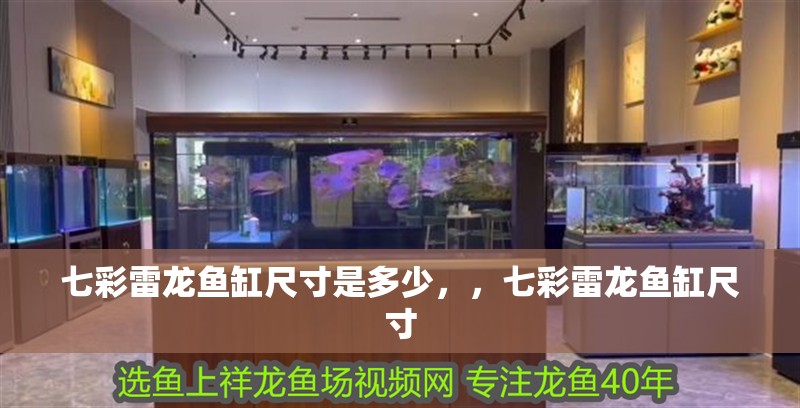 七彩雷龍魚缸尺寸是多少，，七彩雷龍魚缸尺寸