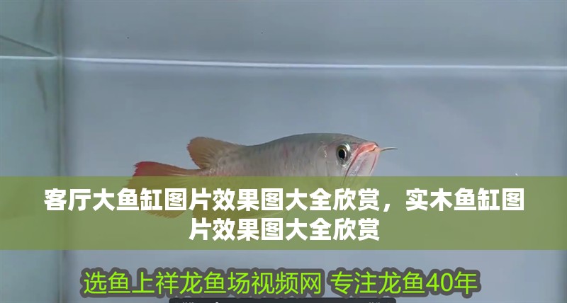 客廳大魚缸圖片效果圖大全欣賞，實木魚缸圖片效果圖大全欣賞