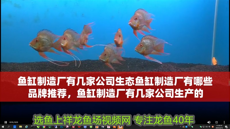 魚缸制造廠有幾家公司生態(tài)魚缸制造廠有哪些品牌推薦，魚缸制造廠有幾家公司生產(chǎn)的