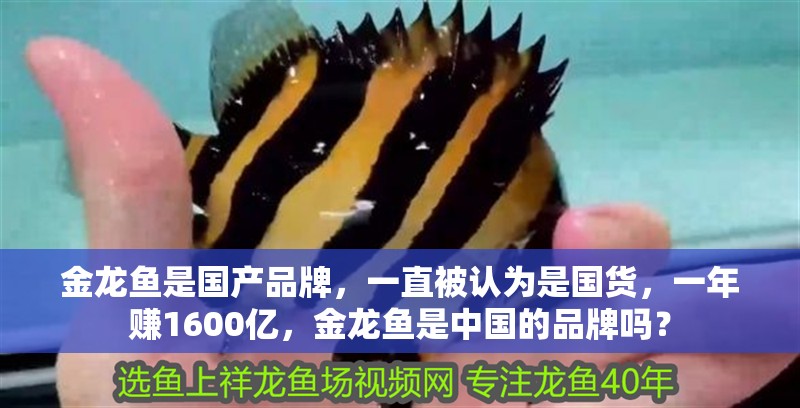 金龍魚是國產品牌，一直被認為是國貨，一年賺1600億，金龍魚是中國的品牌嗎？