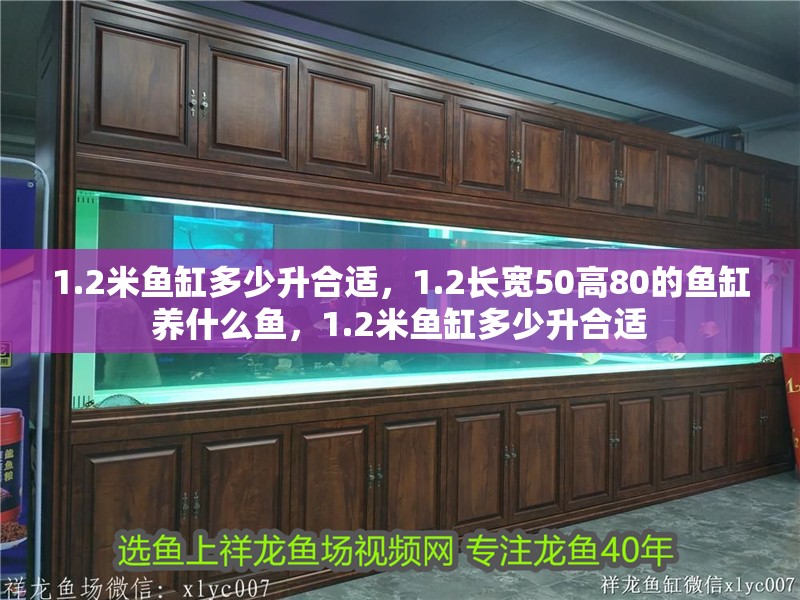 1.2米魚缸多少升合適，1.2長寬50高80的魚缸養(yǎng)什么魚，1.2米魚缸多少升合適
