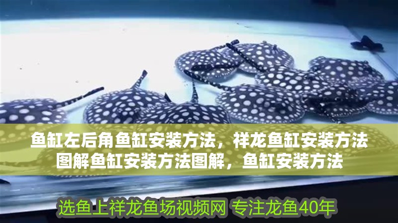 魚缸左后角魚缸安裝方法，祥龍魚缸安裝方法圖解魚缸安裝方法圖解，魚缸安裝方法 魚缸左后角魚缸安裝方法，祥龍魚缸安裝方法圖解魚缸安裝方法圖解，魚缸安裝方法 觀賞魚百科 第2張