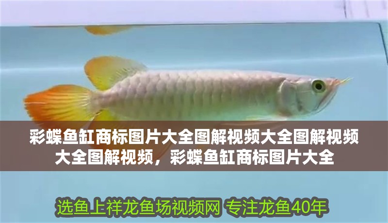 彩蝶魚缸商標(biāo)圖片大全圖解視頻大全圖解視頻大全圖解視頻，彩蝶魚缸商標(biāo)圖片大全