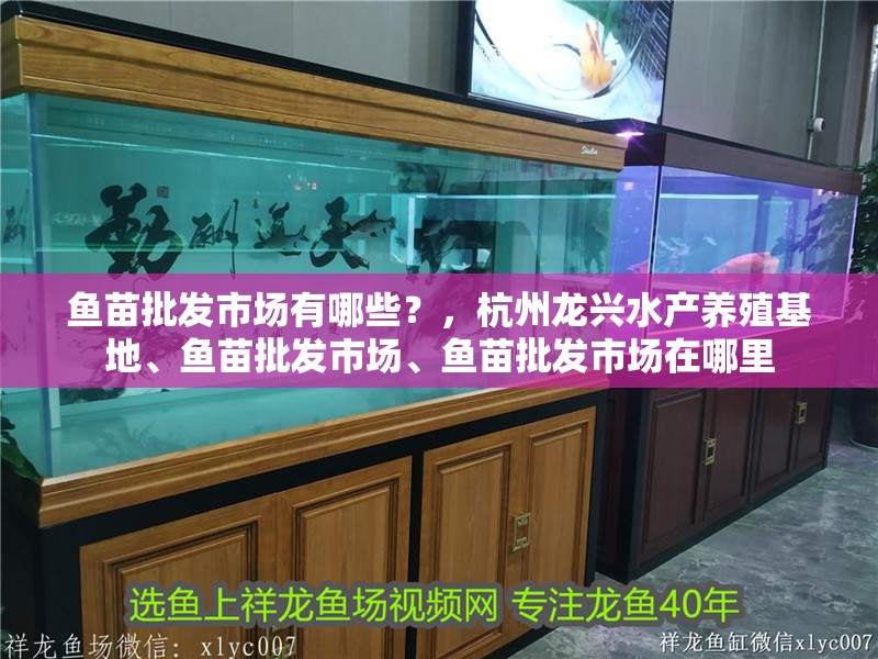 魚苗批發市場有哪些？，<strong><mark>杭州</mark></strong>龍興水產養殖基地、魚苗批發市場、魚苗批發市場在哪里