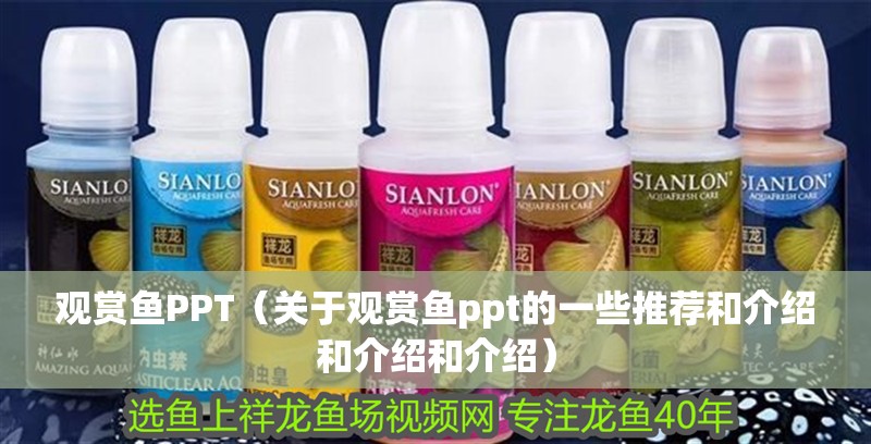 觀賞魚PPT（關(guān)于觀賞魚ppt的一些推薦和介紹和介紹和介紹）