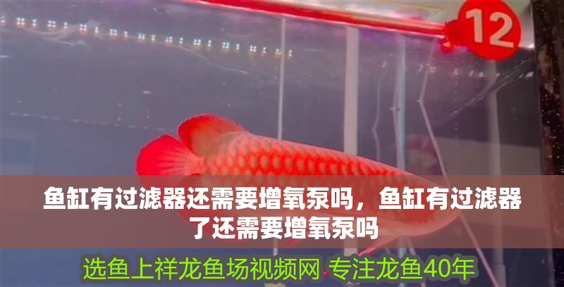 魚缸有過濾器還需要增氧泵嗎，魚缸有過濾器了還需要增氧泵嗎