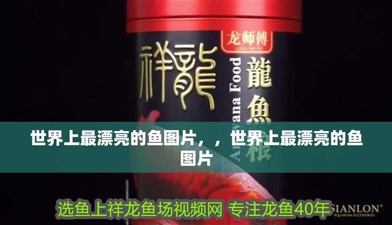 世界上最漂亮的魚圖片，，世界上最漂亮的魚圖片