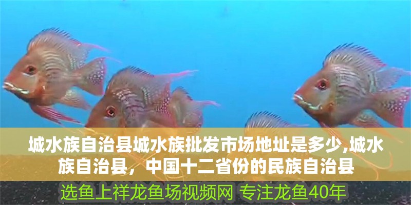 城水族自治縣城水族批發(fā)市場(chǎng)地址是多少,城水族自治縣，中國(guó)十二省份的民族自治縣 城水族自治縣城水族批發(fā)市場(chǎng)地址是多少,城水族自治縣，中國(guó)十二省份的民族自治縣 觀賞魚(yú)百科 第2張