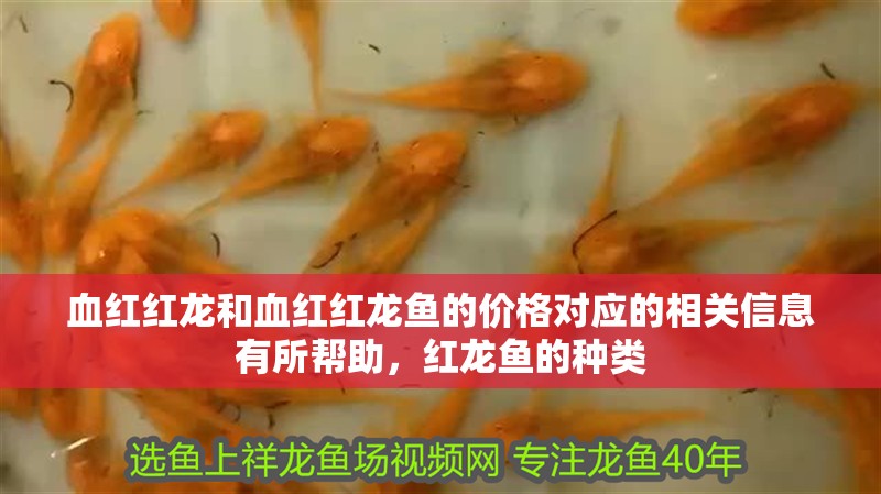血紅紅龍和血紅紅龍魚的價(jià)格對應(yīng)的相關(guān)信息有所幫助，紅龍魚的種類