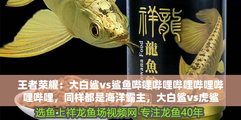 王者榮耀：大白鯊vs鯊魚嗶哩嗶哩嗶哩嗶哩嗶哩嗶哩，同樣都是海洋霸主，大白鯊vs虎鯊