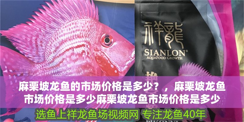 麻栗坡龍魚的市場價格是多少？，麻栗坡龍魚市場價格是多少麻栗坡龍魚市場價格是多少
