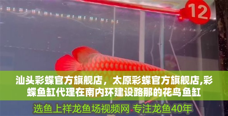 汕頭彩蝶官方旗艦店，太原彩蝶官方旗艦店,彩蝶魚(yú)缸代理在南內(nèi)環(huán)建設(shè)路那的花鳥(niǎo)魚(yú)缸