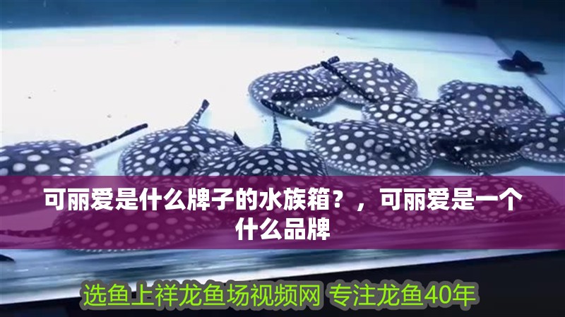可麗愛是什么牌子的水族箱？，可麗愛是一個什么品牌